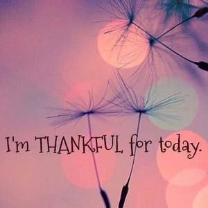 Meet your Posher, Jane